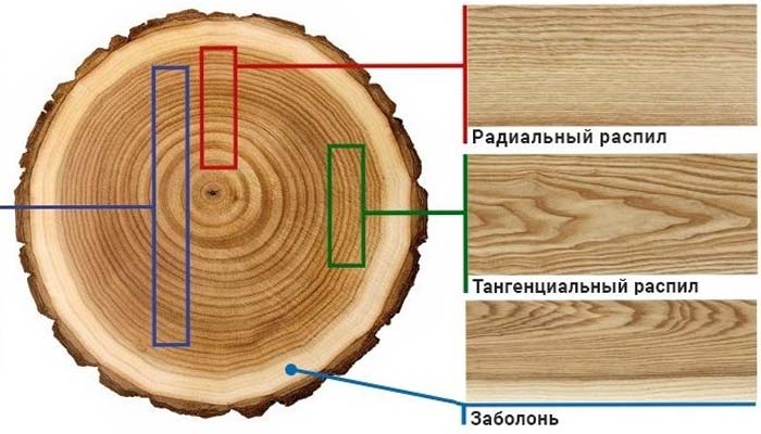 радиальный и тангенциальный шпон